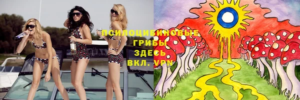 альфа пвп Алексеевка